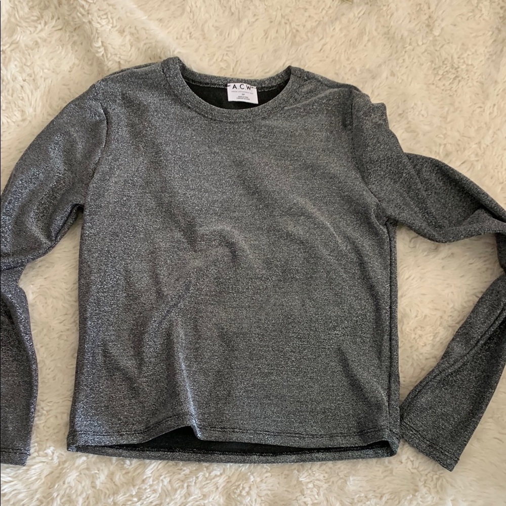 Shimmery silver Long Sleeve Top